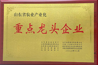 山東省農業(yè)產業(yè)化重點龍頭企業(yè)